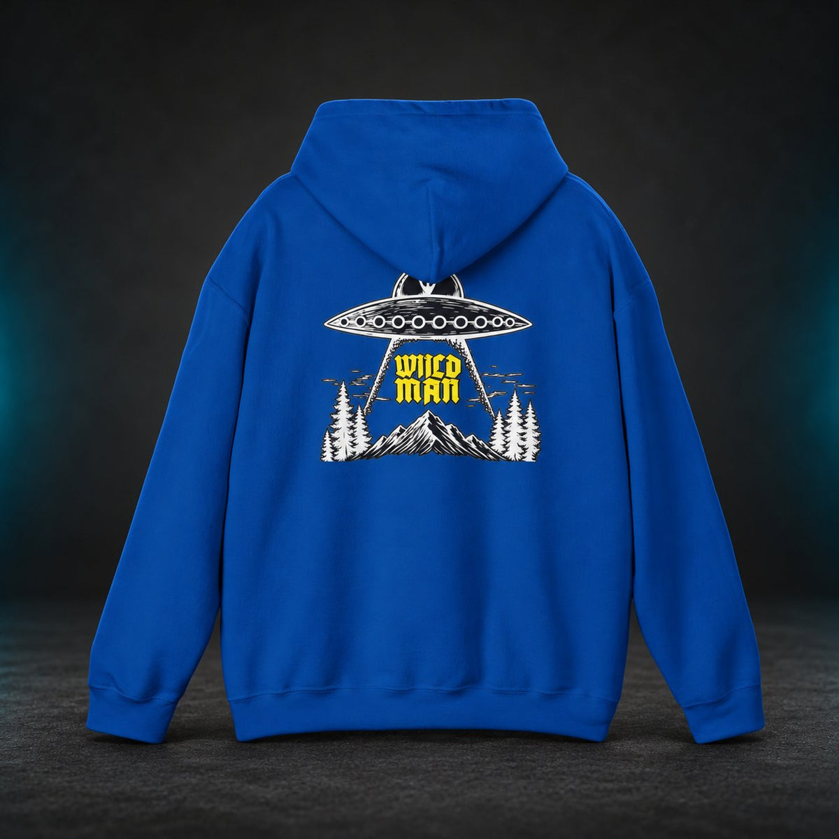 The Grays hoodie — Royal blue back view with hood down